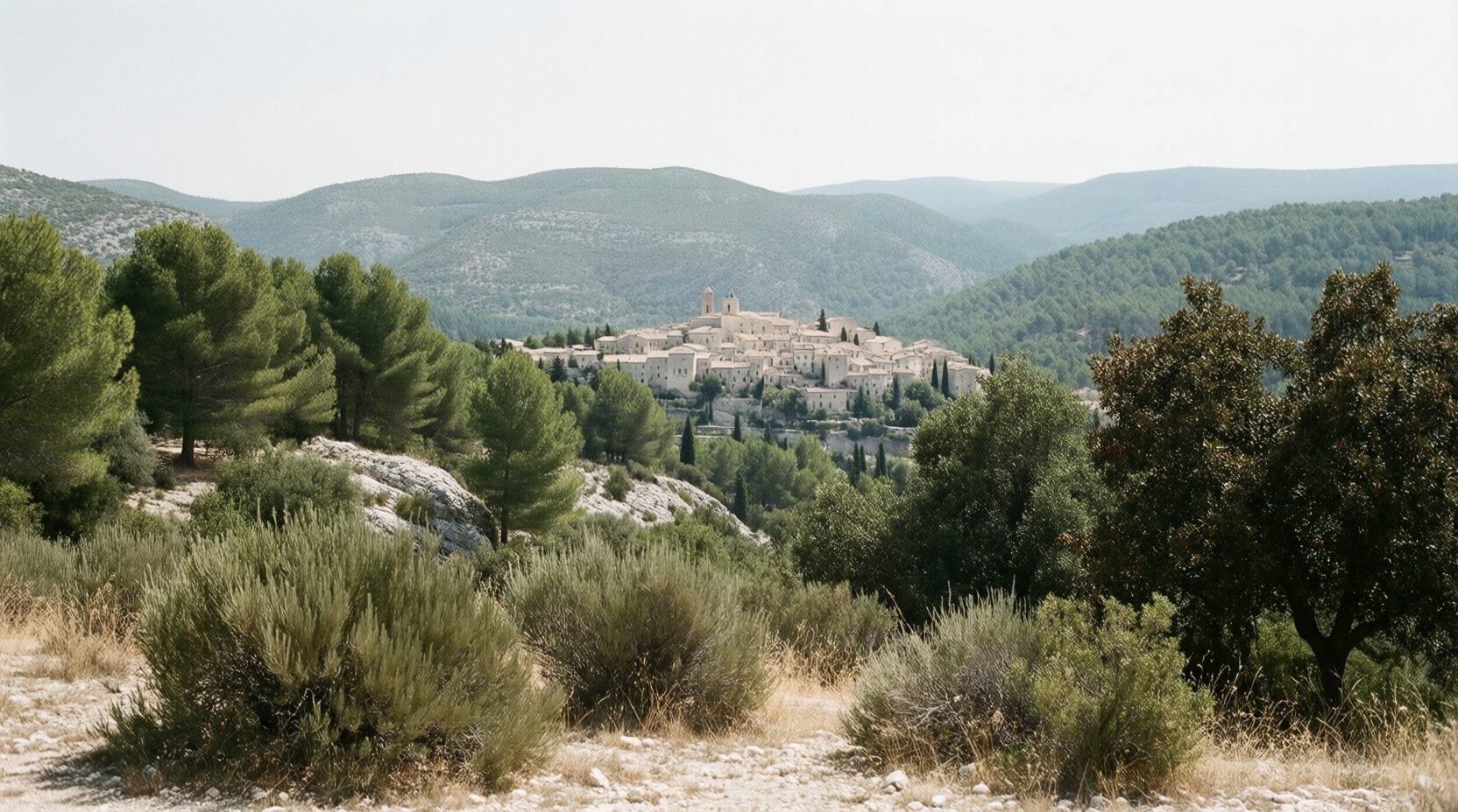Paysage provençal de collines calcaires et de pinèdes