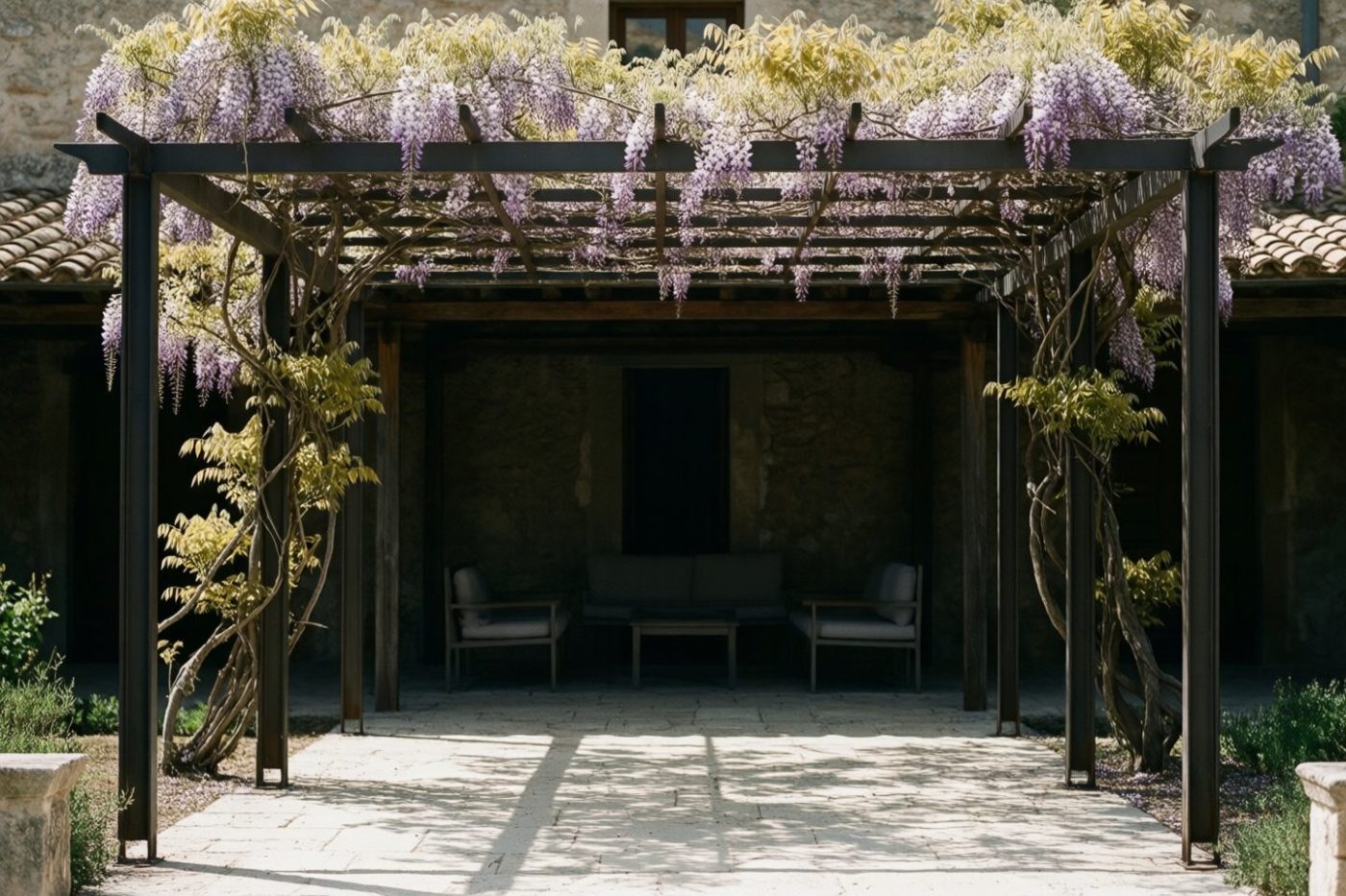 Pergola en acier avec jeune glycine palissée